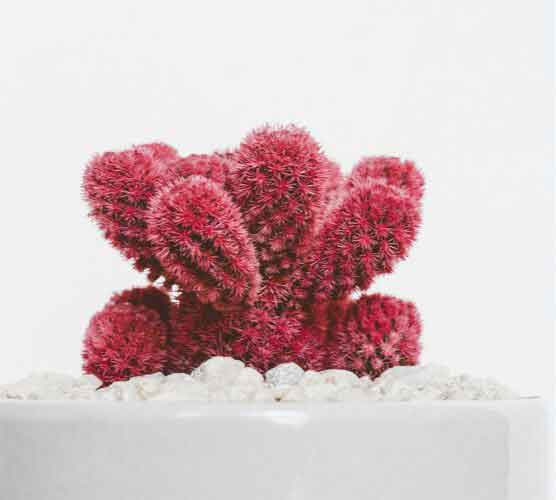 哪里不会跑路的在线网页发短信